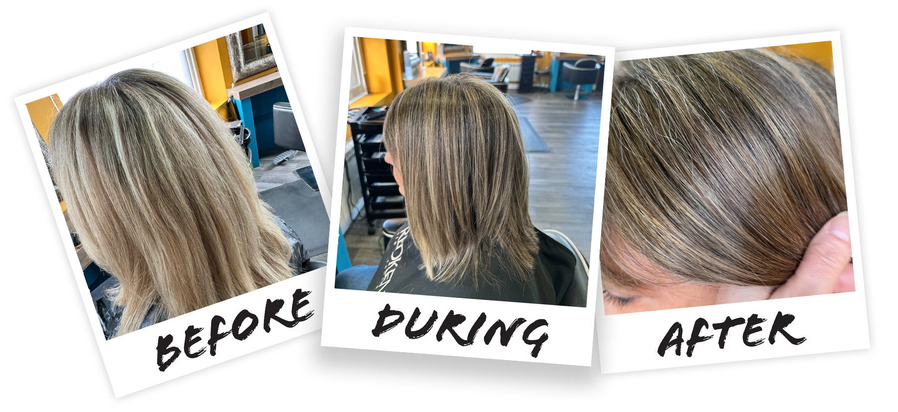 client polaroid trio 3